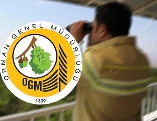 isealim.ogm.gov.tr: OGM personel alımı başvuru sorgulama sonuçları! Orman Genel Müdürlüğü sonuçları