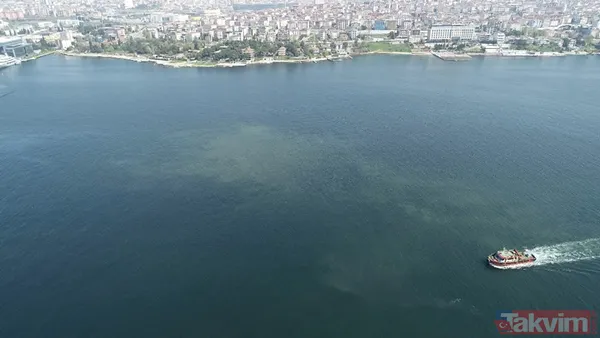 Müsilaj kabusu geri döndü! İstanbul'da müsilaj her geçen dakika artıyor - 13