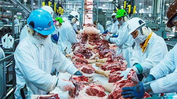 ABD'yi ayağa kaldıran olay! Domuz eti fabrikasında çalışan 370 kişide koronavirüs tespit edildi!-2