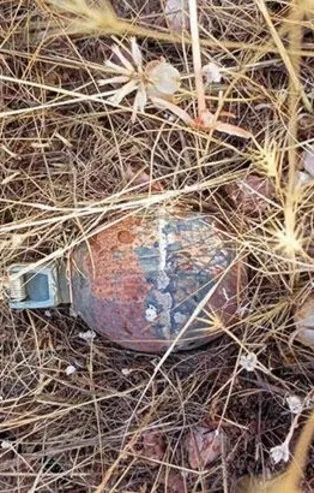 Bingöl'de ele geçirilen el bombası ve mayın imha edildi