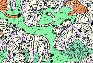 Resimdeki zebrayı bulabilir misin?