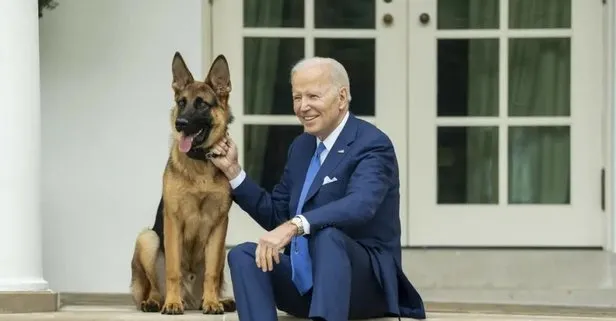Beyaz Saray’da Gizli Servis ajanları Biden’ın köpeğinin hedefinde! Commander 24 kez ısırdı: Başkan’ın Adamları hastanelerden çıkamıyor