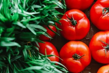 100 yaşın sırrı bir kasede: Uzmanı açıkladı! Bu tarif pahalı takviyeleri çöpe attırıyor