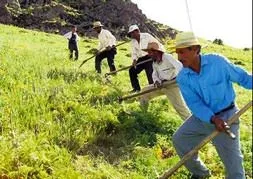 Çiftçi faiz affına ilgisiz