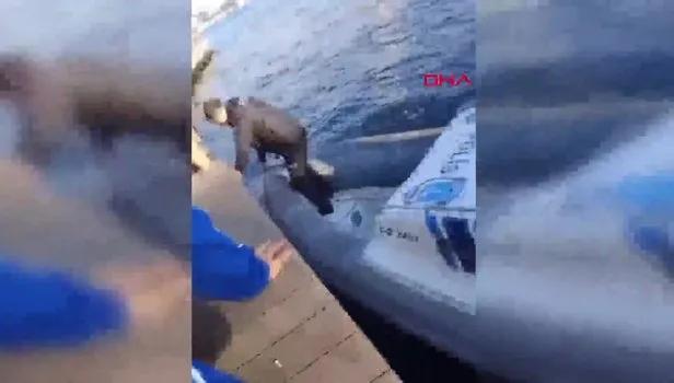 Haliç'te can pazarı! Fotoğraf çekerken denize düştü! Deniz polisi imdada yetişti! Denizde zamanla yarış kamerada
