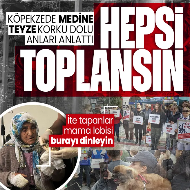 Muşta köpeklerin saldırısında yaralanan Medine Kızıltaş yaşadığı korkuyu anlattı: Köpeklerin toplatılmasını çok istiyorum