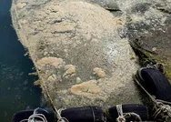 SON DAKİKA: Marmara Denizinden sonra Karadenizde de müsilaj deniz salyası görüldü! Uzmanlar uyardı: Böyle giderse kaplanır