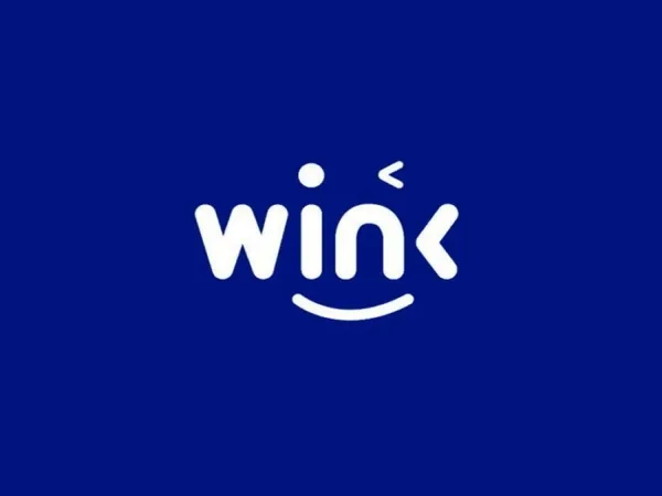win-coin-nedir-win-coin-fiyatlari-ne-kadar-wink-projesi-nedir-1617801775651.jpg