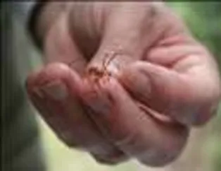 Muhteşem kareler - 62