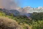 5 ilde orman yangını! İyi haber geldi! Hepsi kontrol altına alındı