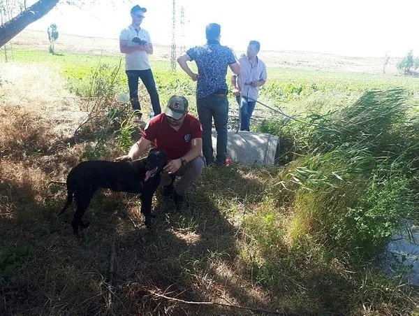Kayıp Eylül Yağlıkara olayında flaş gelişme! Tutuklanan kişinin aracında...-2