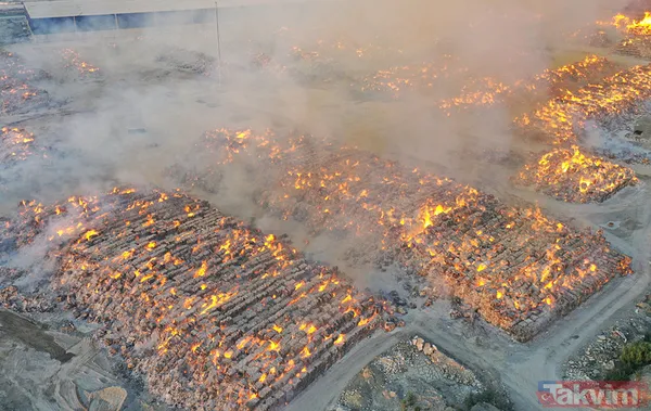 Aydın'da kağıt fabrikasındaki yangın yeniden kontrolden çıktı: Havadan ve karadan müdahale sürüyor - 7