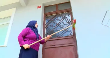 Beykozda yüz binlerce tırtıl mahalleyi işgal etti! Ne varsa kurutuyorlar