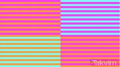 Sosyal medya bu illüzyonu konuşuyor! Bu resimde kaç renk var?