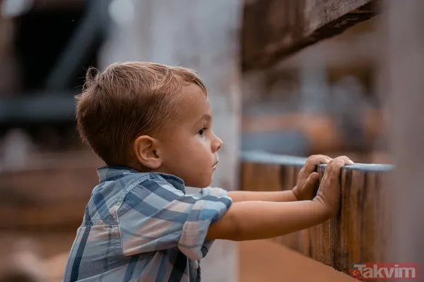 Çocuğunuzda Gizli Disleksi Olabilir Mi? 5 Dakikalık Testle Öğrenme Güçlüğünü Erken Tespit Edin - 3