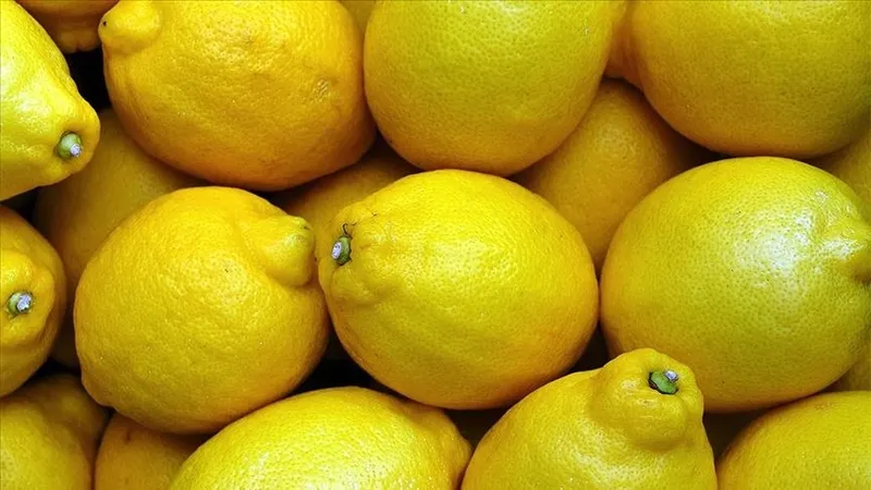 1-limon-sikip-yiyin-o-derde-sifa-olsun-tahin-ve-limon-mucizesi-1710678816113.jpg Onun Üstüne 3 Damla Limon Sıkıp Yiyin, Dertlere Şifa Olsun!-5