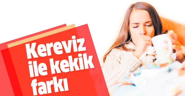 Kereviz-kekik öksürüğü kestik