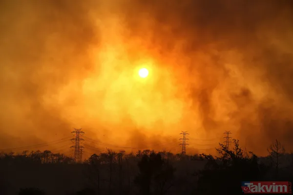 Kan kaybeden PKK, Türkiye'nin ormanlarını yakıyor: Yunanistan'da eğitim gördüler hedeflerinde turistik bölgeler var - 46