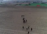Mültecilerin akın akın Türkiye'nin Avrupa sınırına gidişi drone ile görüntülendi | VİDEO
