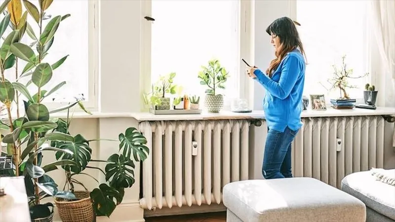 eve-girdiginde-direkt-kasiniyor-sebebini-duyanlar-kulaklarina-inanamayacak-1731617385600.jpg Sebebini duyanlar kulaklarına inanamayacak! Eve girdiğinde direkt kaşınıyor!-3