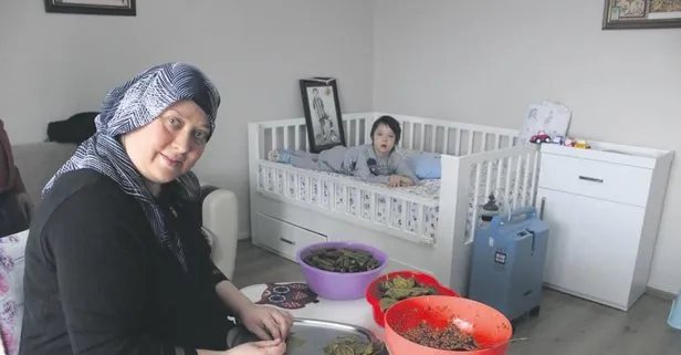 Sarma Harekati Takvim
