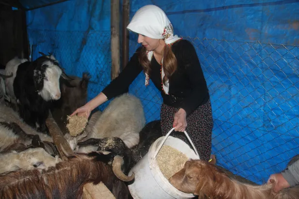 Elazığ'ın tek kadın ve en genç muhtarı Seda Gündoğan oldu-6