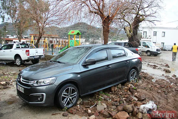 Muğla Bodrum'da hep aynı manzara! Evleri su bastı, sokak hayvanları boğuldu - 7