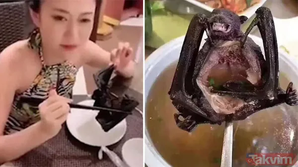 Koronavirüsün kaynağı belli oldu! Yüzde 96 yarasalardan bulaştı! - 8