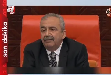 DEM Parti'den "İmralı" açıklaması