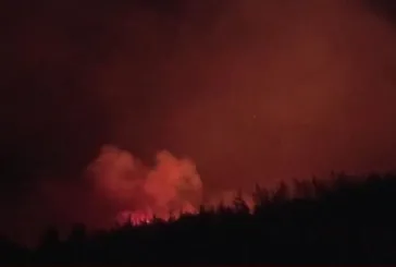 Hatay'da orman yangını! Güçlükle kontrol altına alındı