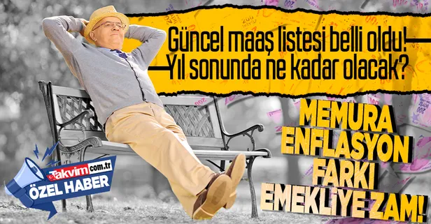 Memura enflasyon farkı emekliye zam: Yıl sonunda emekli ve memurlar yüzde kaç zam alacak?