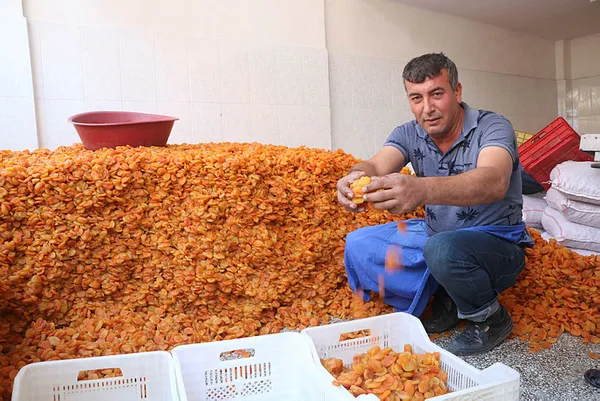 1632822700444.jpg Malatya'dan çıktı ünü sınırları aştı! 115 ülke onun peşinde-4