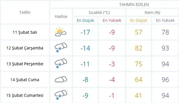 Bitlis'te yarın okullar tatil mi? 11 Şubat Salı Bitlis Valiliği'nden kar tatili açıklaması-2