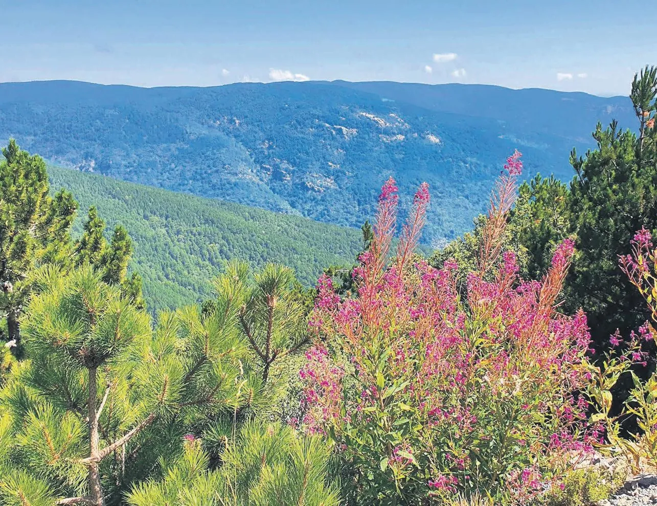 Yeşil ve mavinin buluştuğu şehir