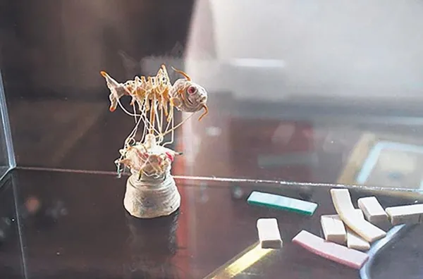 CHP'li Kuşadası Belediyesi, sakızdan heykel yapmayı başardı!-2