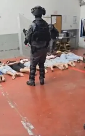 İsrail’den Filistinlilere sadist işkence: Köpekleri üzerlerine salıp…-4