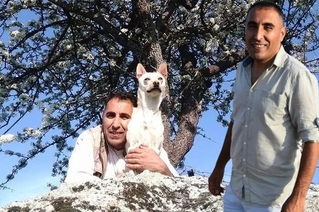 İngiltere Taşkın Daşdan isimli Türk'ü konuşuyor! Milyonluk miras...