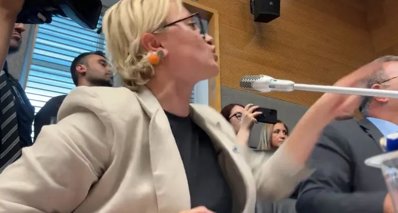 DEM Parti Mersin Milletvekili Perihan Koca