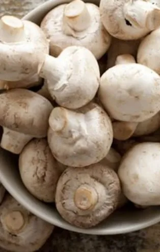 Rüyada mantar topladığını görmek ne anlama gelir?