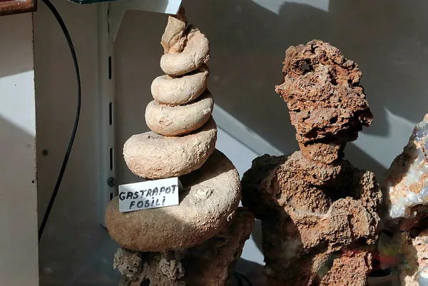 Kolye yapmak için dağda dolaşırken buldu! Tam 500 yıllık!-5