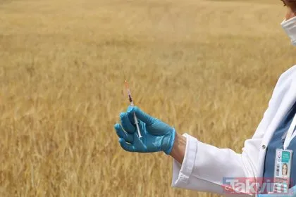 SON DAKİKA: Ankara Polatlı’da çiftçilerin Kovid-19 koronavirüs aşısı tarlada yapıldı