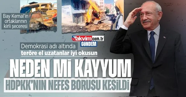 Kemal Kılıçdaroğlu bunları biliyor mu? HDP-PKK işbirliği bölgeyi kan gölüne çevirdi! Kayyumların durdurduğu felaket
