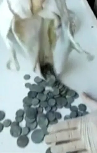 İstanbul'da tarihi eser operasyonu! Hepsi ele geçirildi