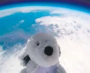 Köpek Sam uzaya kaçtı