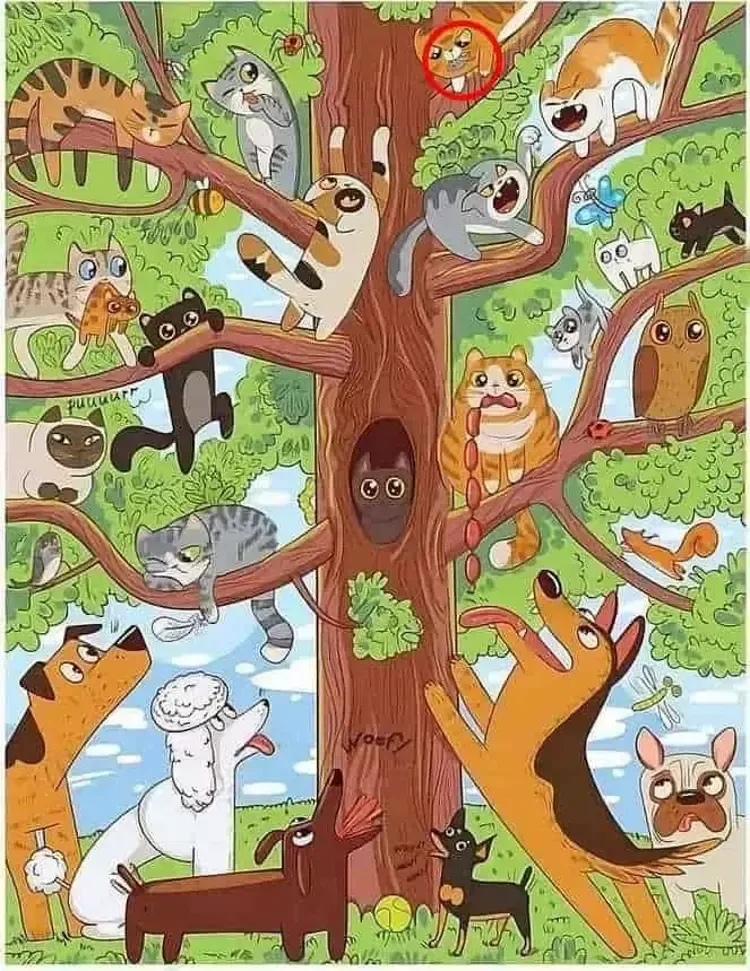 gorme-yetenegi-ve-zekanizi-olcun-gorseldeki-baligi-5-saniyede-bulan-cok-az-1766584908122.png (Takvim Foto Arşiv)