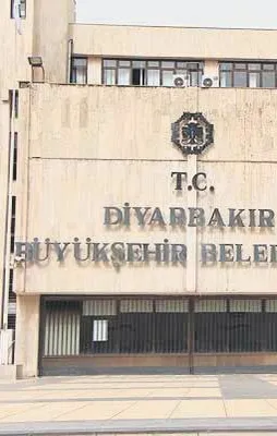 Kayyumlara yönetim rehberi