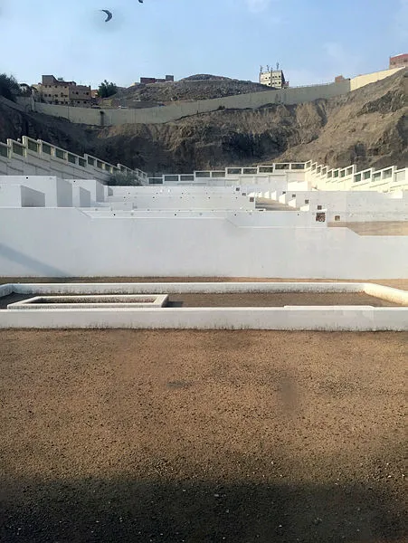 Hacı adaylarının Arafat'a intikalleri başladı-3