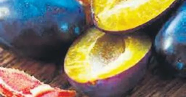 Erik kan dolaşımını iyileştirir