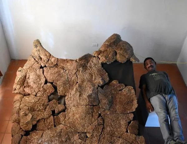 O dünyanın en büyüğü! Tam 10 milyon yıllık