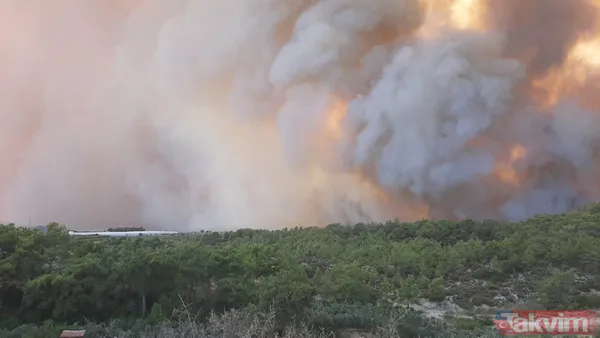 SON DAKİKA: Antalya Manavgat alevlere teslim oldu! İşte yürek yakan kareler - 5